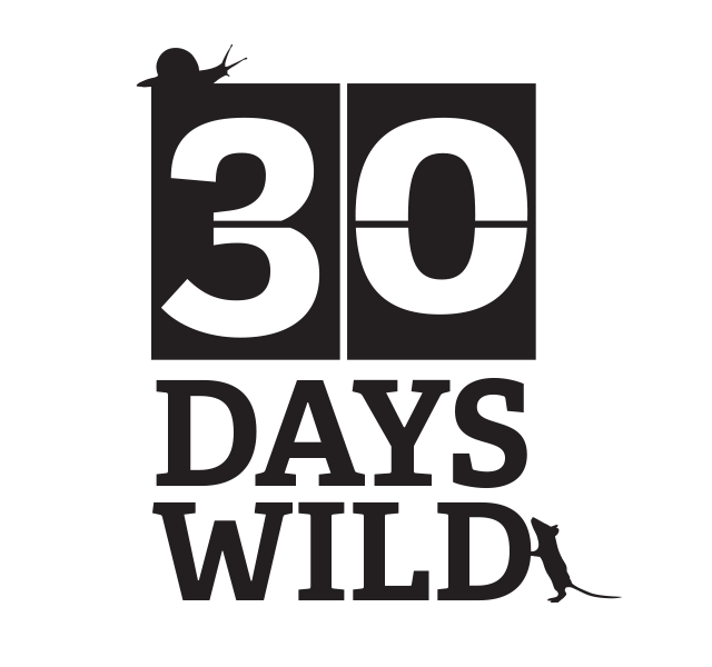 30DaysWild - Week 1